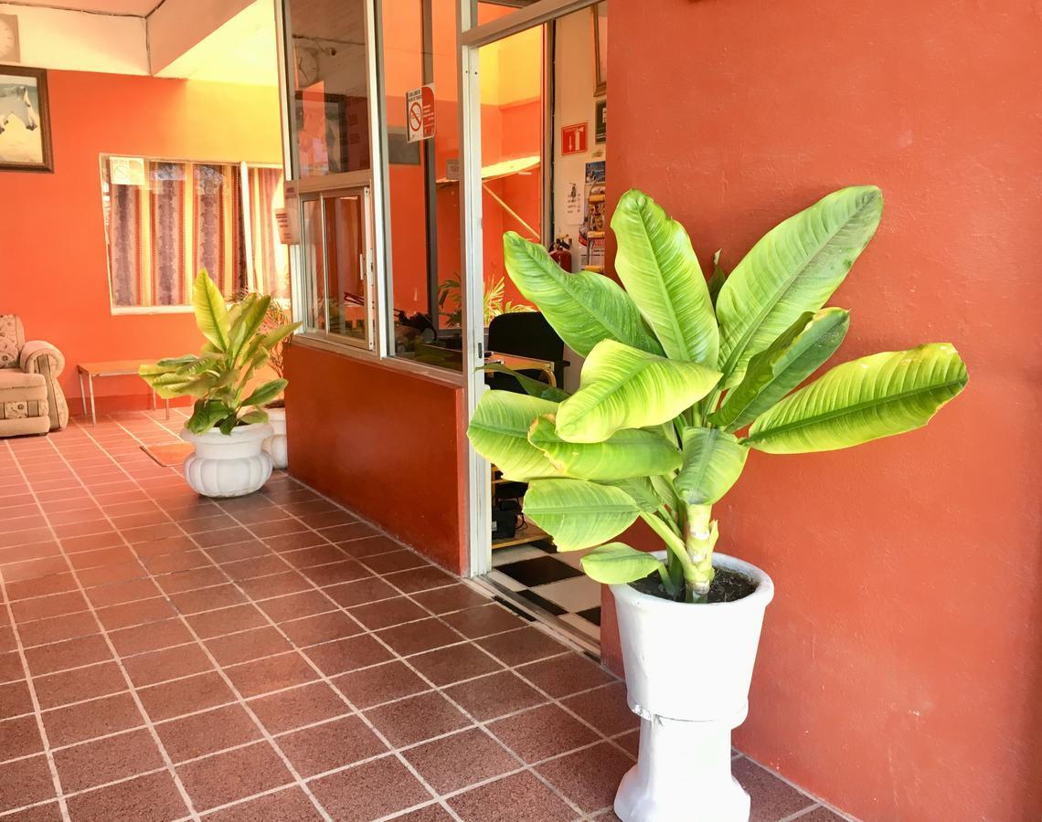 Hotel Bahia De La Paz Bagian luar foto